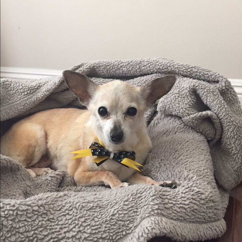 Meet your Posher, Lisa